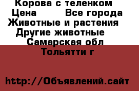 Корова с теленком › Цена ­ 69 - Все города Животные и растения » Другие животные   . Самарская обл.,Тольятти г.